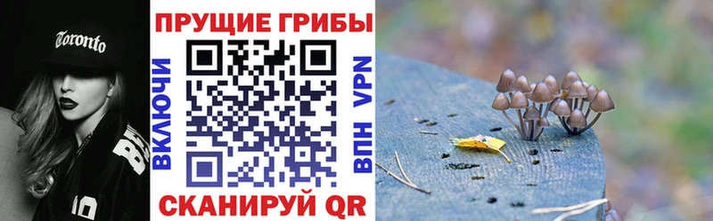 Галлюциногенные грибы мухоморы  Елизаветинская 